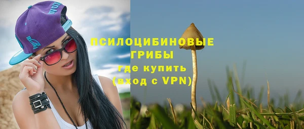 молекула духа Володарск