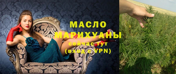 индика Вязники