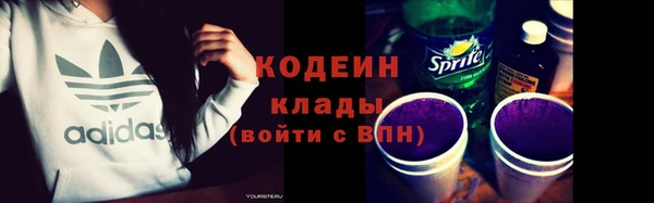 индика Вязники