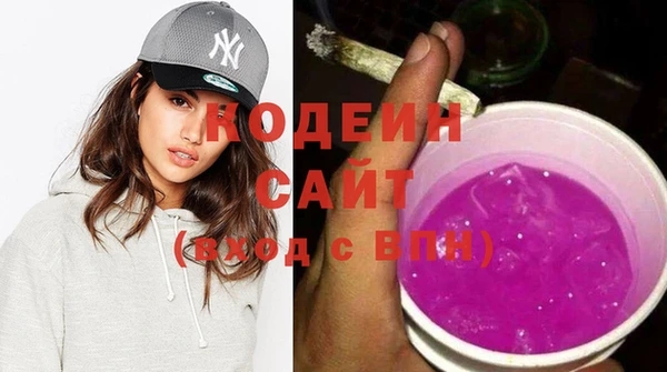 СК Вязьма