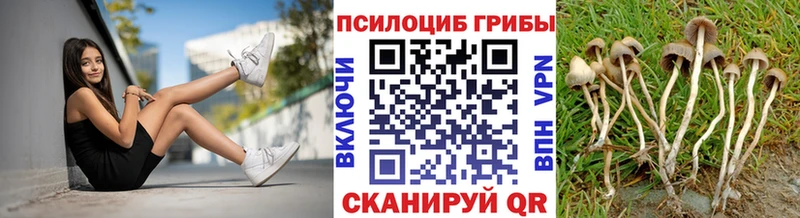 Галлюциногенные грибы мицелий  Купить закладки  Можайск 